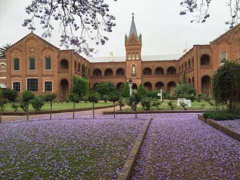 Sacred Spaces At The Sisters Of Mercy Convent - Accommodation Newcastle 12