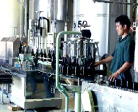 Sun Masamune Sake Brewery - Accommodation Newcastle 2