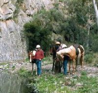 Yarramba Horse Riding - Accommodation Newcastle