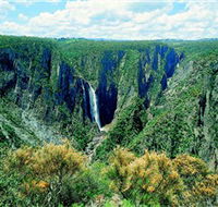 Wollomombi Falls - Accommodation Newcastle