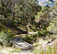Wollomombi walking track - Accommodation Newcastle