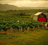 Around Hermitage Wine and Food Trail Hunter Valley - Accommodation Newcastle