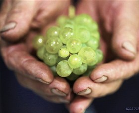 Keith Tulloch Wine - Accommodation Newcastle 1