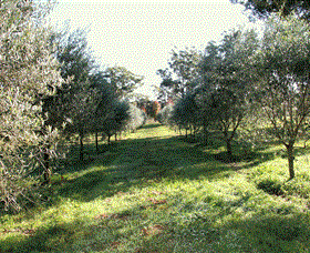 Langdale Farm - Accommodation Newcastle 0