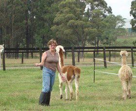Langdale Farm - Accommodation Newcastle 4