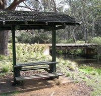 Barrington Tops State Forest - Accommodation Newcastle