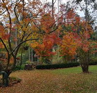 Bellbird Cottage - Accommodation Newcastle