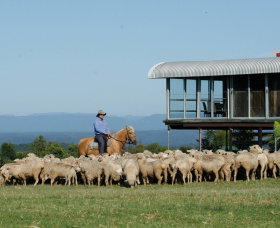 Tobruk Sydney - Accommodation Newcastle 0