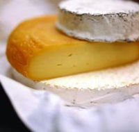 Hunter Valley Cheese Company - Accommodation Newcastle