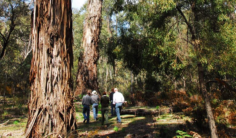 Merricumbene NSW Accommodation Newcastle