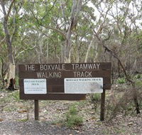 Box Vale Picnic Area - Accommodation Newcastle