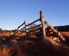 Studio Czes - Accommodation Newcastle 2