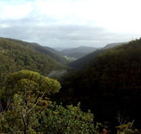 Nattai Gorge Lookout - Accommodation Newcastle