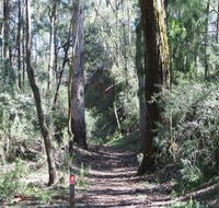 Box Vale Mine Walking Track and Lookout - Accommodation Newcastle