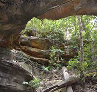 Cave Creek Walking Track - Accommodation Newcastle