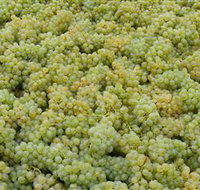 Normanby Wines - Accommodation Newcastle