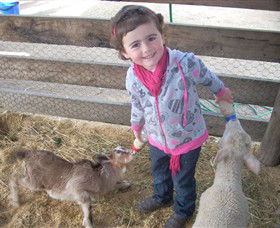 Hunter Valley Zoo - Accommodation Newcastle 4