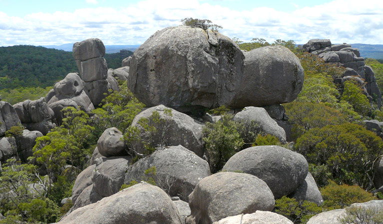 Billys Creek NSW Accommodation Newcastle