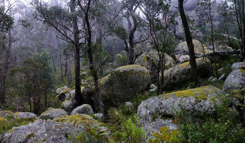 Cathedral Rock National Park - Accommodation Newcastle 2