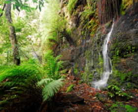 Fairy Bower Falls - Accommodation Newcastle 0