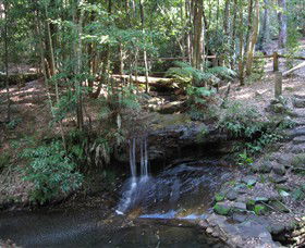 State Forests Of The Watagan Mountains - Accommodation Newcastle 3