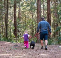 Olney State Forest - Watagan Mountains - Accommodation Newcastle