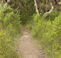 Three Views walking track - Accommodation Newcastle