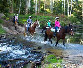 Glenworth Valley Horse Riding - Accommodation Newcastle 1