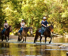 Glenworth Valley Outdoor Adventures - Accommodation Newcastle 2