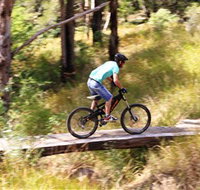 The Steps Mountain Bike Park - Accommodation Newcastle