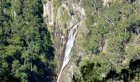 Carrai National Park - Accommodation Newcastle 0
