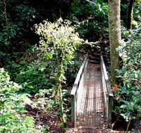 Richmond Range National Park - Accommodation Newcastle
