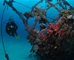 Severance Shipwreck Dive Site - Accommodation Newcastle 0