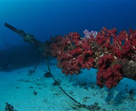 Severance Shipwreck Dive Site - Accommodation Newcastle 2