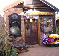 Australian Alpaca Barn - Morpeth - Accommodation Newcastle