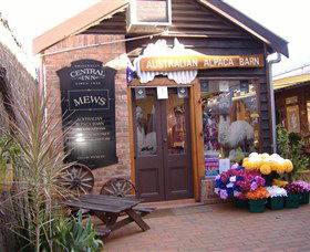 Australian Alpaca Barn - Morpeth - Accommodation Newcastle 0