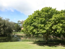 Hervey Bay Botanic Gardens - Accommodation Newcastle 0