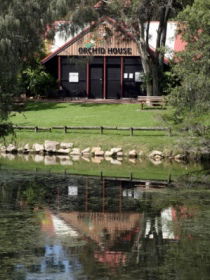 Hervey Bay Botanic Gardens - Accommodation Newcastle 1