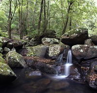 Kangaroo River - Accommodation Newcastle