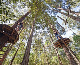 TreeTop Adventure Park Central Coast - Accommodation Newcastle 0