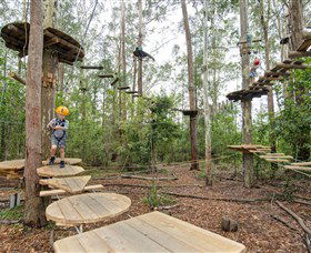 TreeTop Adventure Park Central Coast - Accommodation Newcastle 1