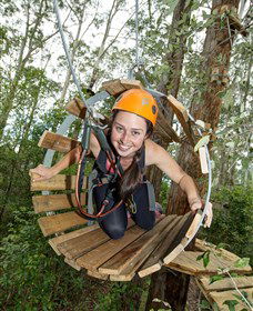 TreeTop Adventure Park Central Coast - Accommodation Newcastle 3