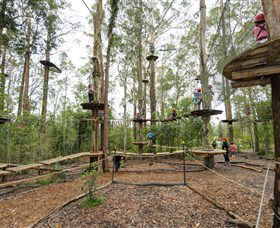 TreeTop Adventure Park Central Coast - Accommodation Newcastle 5
