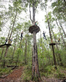 TreeTop Adventure Park Central Coast - Accommodation Newcastle 4