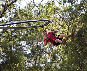 TreeTops Crazy Rider - Accommodation Newcastle 1