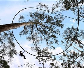 TreeTops Crazy Rider - Accommodation Newcastle 0
