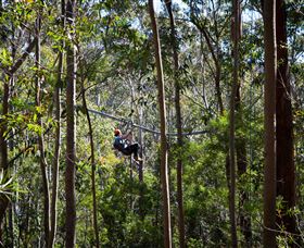 TreeTops Crazy Rider - Accommodation Newcastle 3
