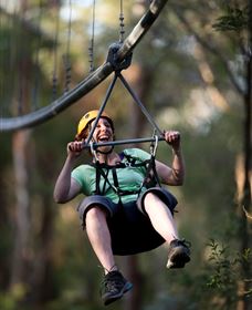 TreeTops Crazy Rider - Accommodation Newcastle 2
