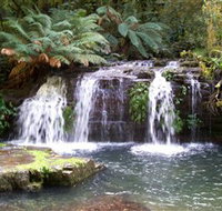 Barrington Tops National Park Walks - Accommodation Newcastle