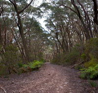 Budawang National Park - Accommodation Newcastle